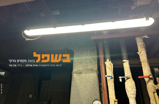תמונת מפגש: דימוי להצגה בשפל